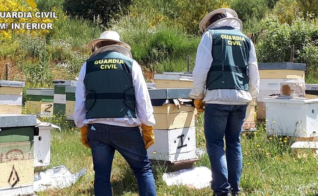 Detenido por el presunto robo de 40 colmenas en Campo de Lomba