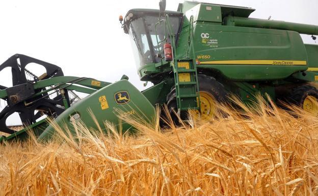 Asaja critica que se utilicen las previsiones de cosecha como «señuelo para hundir los precios»