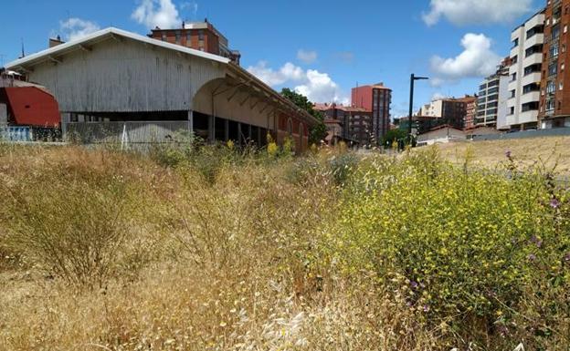 El Partido Popular denuncia la situación de abandono con basura y maleza del entorno de FEVE en el centro de León