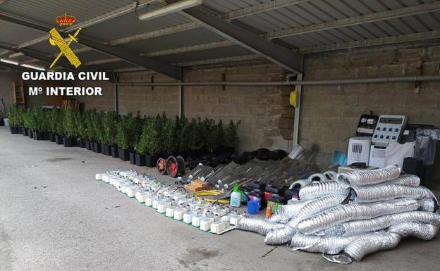 La Guardia Civil detiene a tres personas y decomisa 410 plantas de marihuana en una casa en Congosto