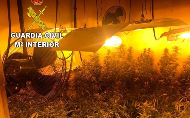 La Guardia Civil detiene a tres personas y decomisa 410 plantas de marihuana