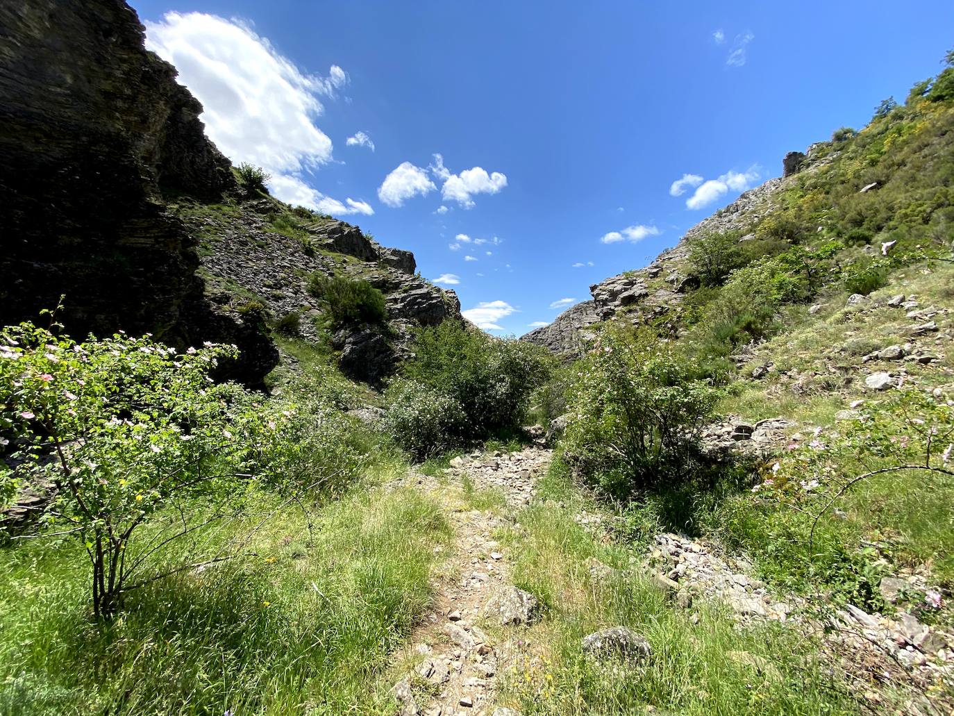 De ruta por León: Los Calderones