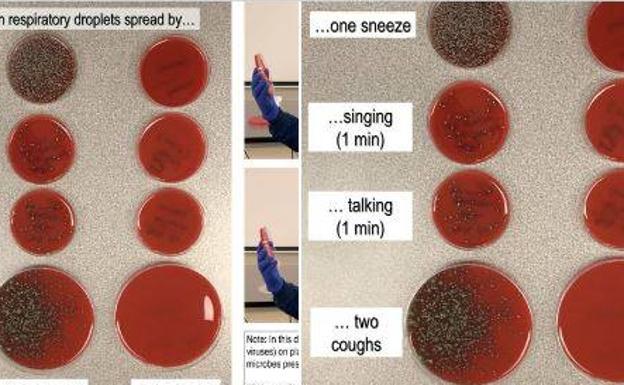 Un sencillo experimento para ver la importancia de la mascarilla y la distancia social