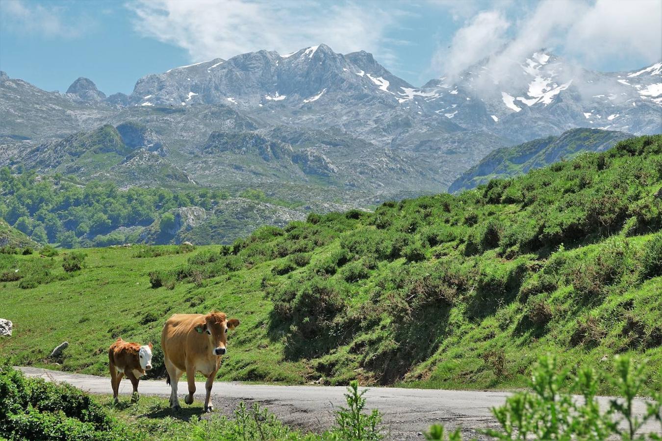 Los parques naturales y nacionales más espectaculares para visitar este verano