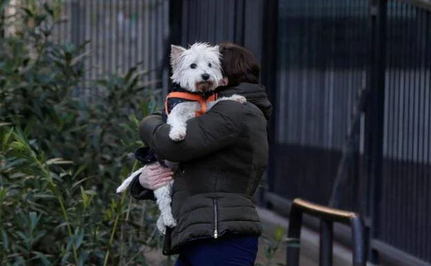 Una mujer con su mascota. /Efe