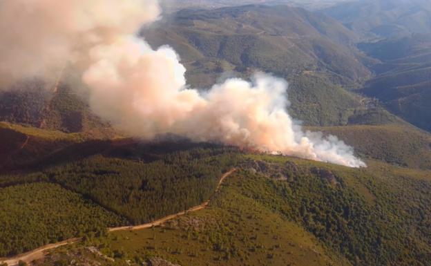 Extinguidos los dos incendios forestales de Anllarinos y San Vicente en El Bierzo