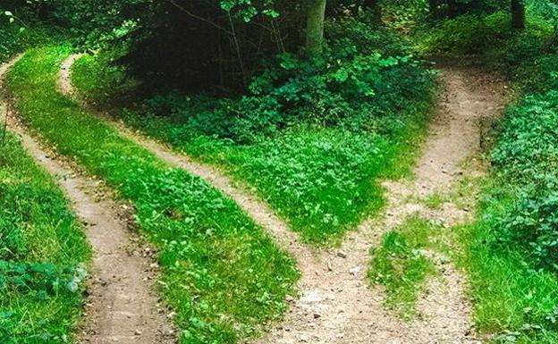 Ponferrada, Carracedelo y Camponaraya destinan 7.500 euros a mejorar el camino entre las fincas frutícolas y las cooperativas