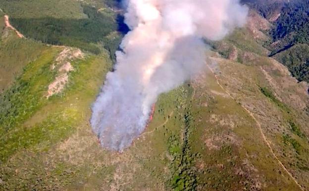 Vuelve a activarse por segunda vez el incendio de San Vicente en El Bierzo