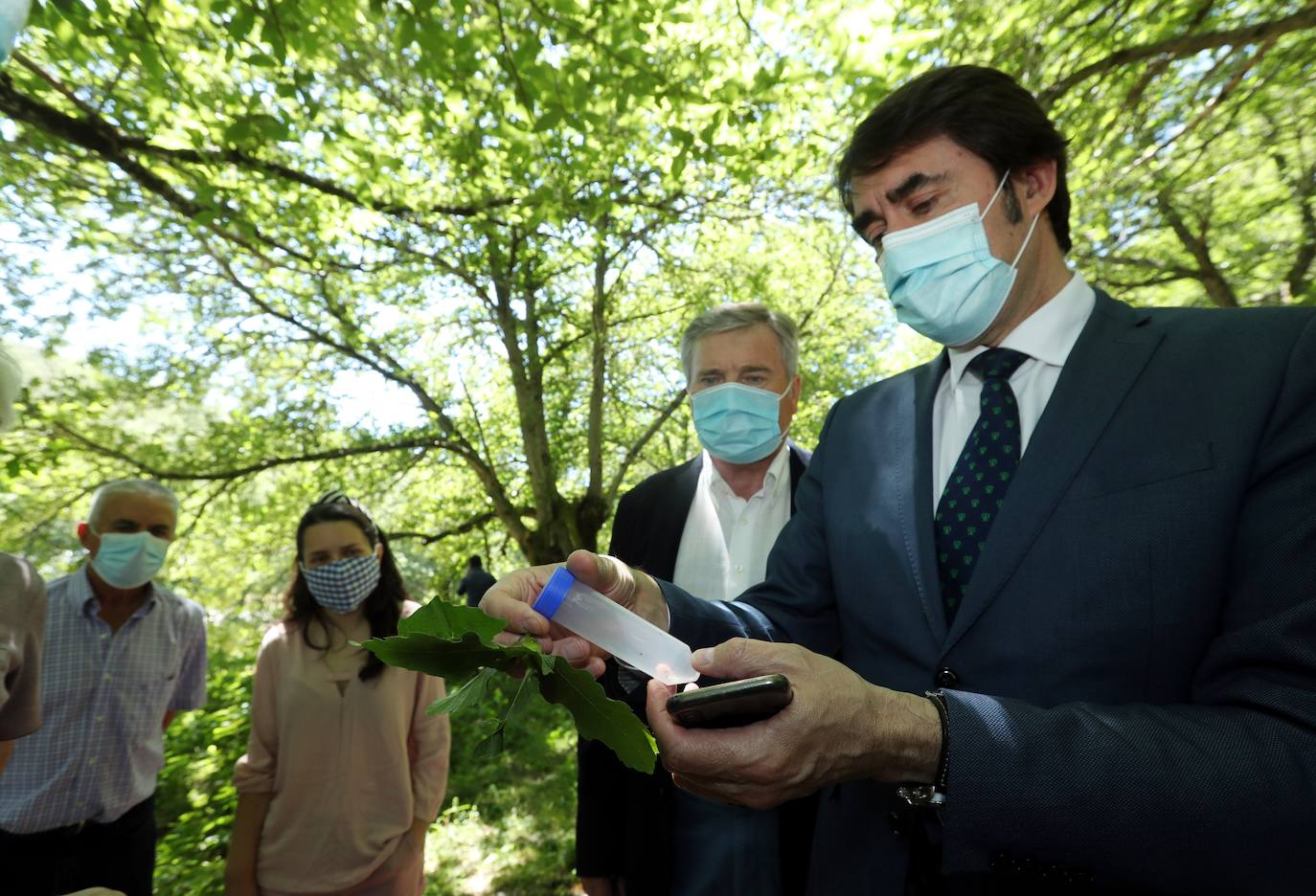 Lucha contra la avispilla