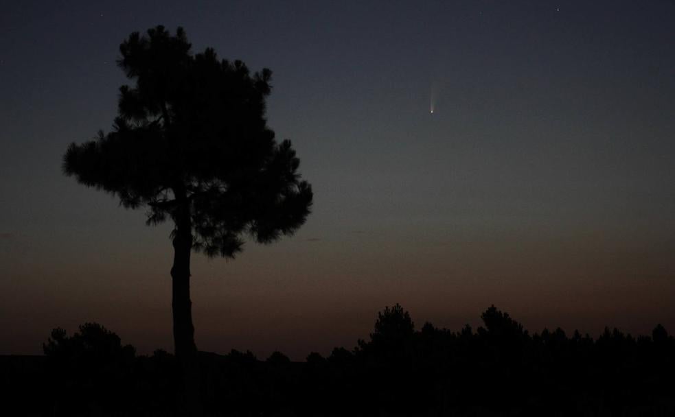 Un cometa sobre León