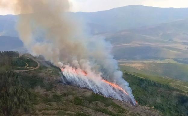 Un incendio declarado en Corporales obliga a intervenir a numerosos efectivos por tierra y aire