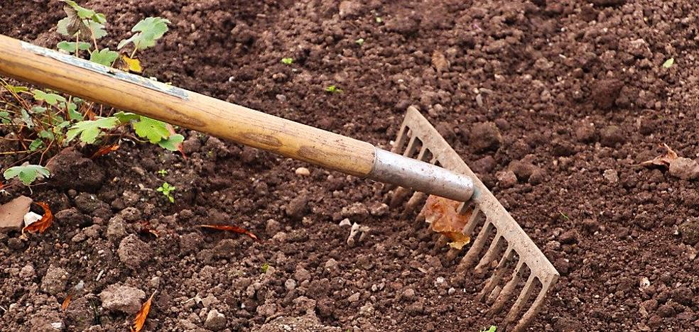 La Junta destina 1,2 millones a una docena de municipios leoneses para contratar personas en riesgo de exclusión