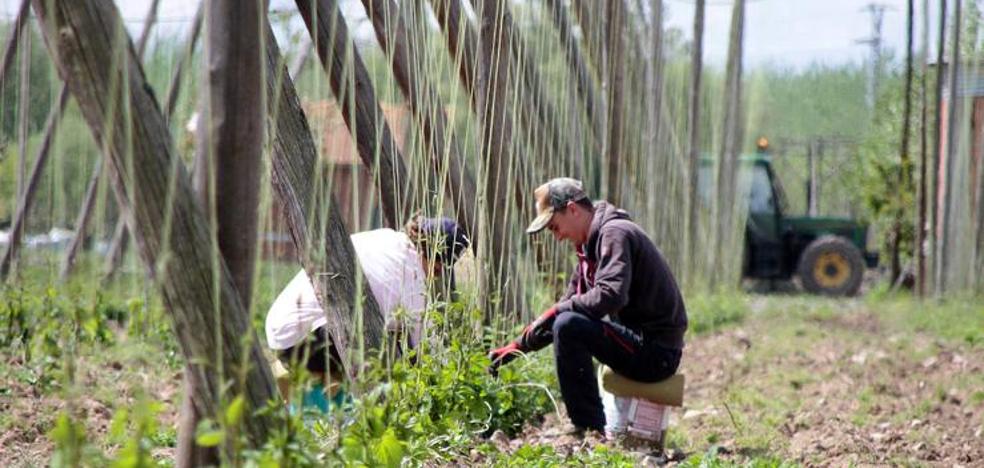 El campo leonés resiste y mantiene los afiliados respecto al año pasado y un 2,2% más que en abril