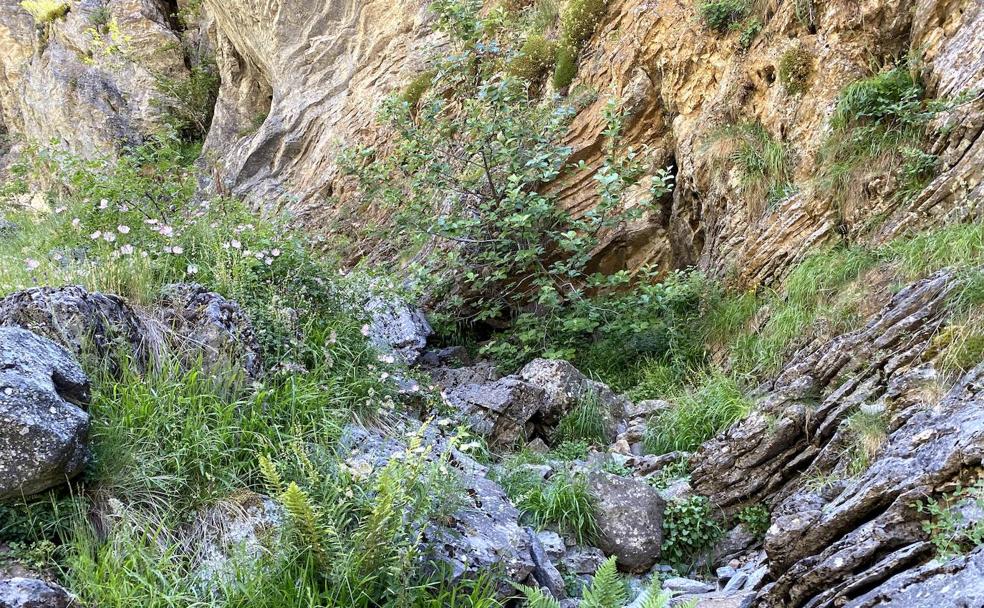 Los Calderones: un paraíso para disfrutar