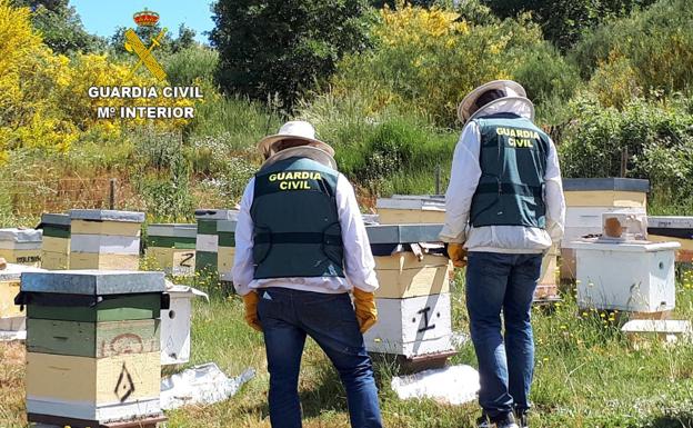 Detienen a un hombre e investigan a otros dos por hurtar colmenas de abejas en la provincia de León