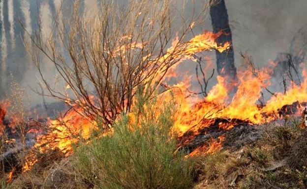 Controlados dos incendios en Oencia y Quintanilla de Sollamas