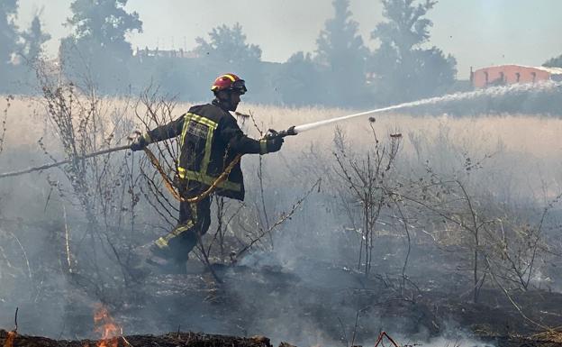 Un incendio devora parte de un prado en el barrio de La Vega de León capital