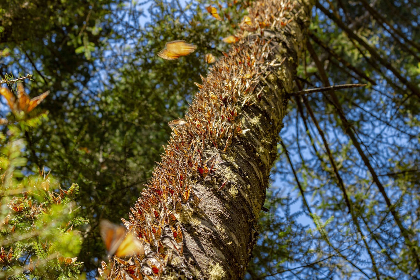 Los espectáculos naturales más impresionantes del mundo