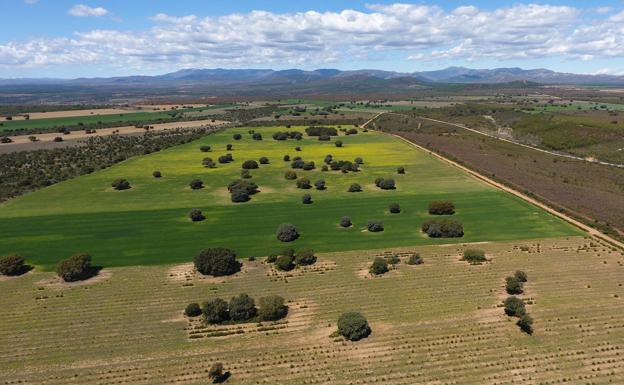Investigadores de la ULE descifran el clima de la Sierra de la Cabrera de hace cinco millones de años