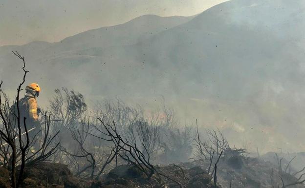 Una negligencia en la quema de basuras calcina 1,8 hectáreas en Vega de infanzones