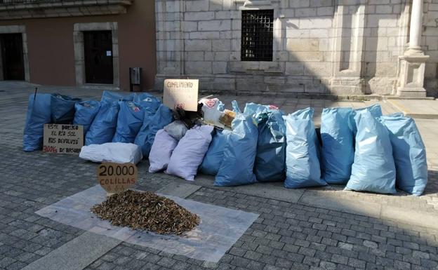 Proyecto Orbanajo recoge más de 300 kilos de desperdicios y más de 20.000 colillas arrojadas en el entorno del río Sil