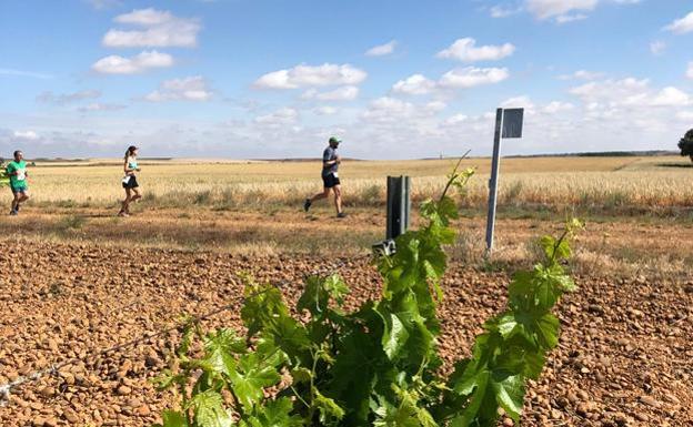 La Carrera Popular Peregrino Entrecepas celebra el sábado en Gordoncillo su novena edición