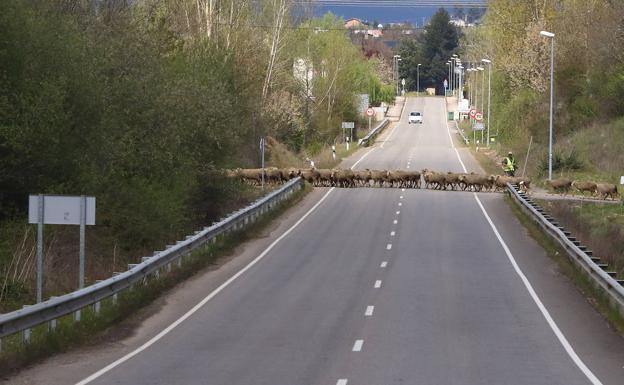 Fomento avanza los trámites ambientales del nuevo Plan de Carreteras para la próxima década