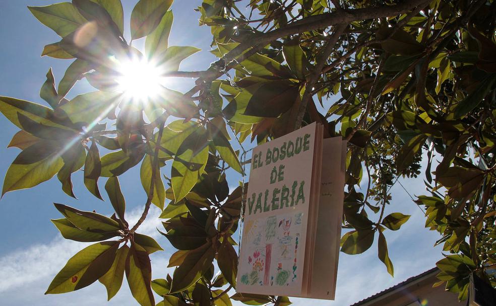 Florecen los libros en León