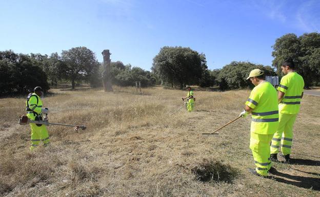 Clausurados los programas mixtos de Carracedelo y Villafranca del Bierzo tras una inversión de más de 239.000 euros