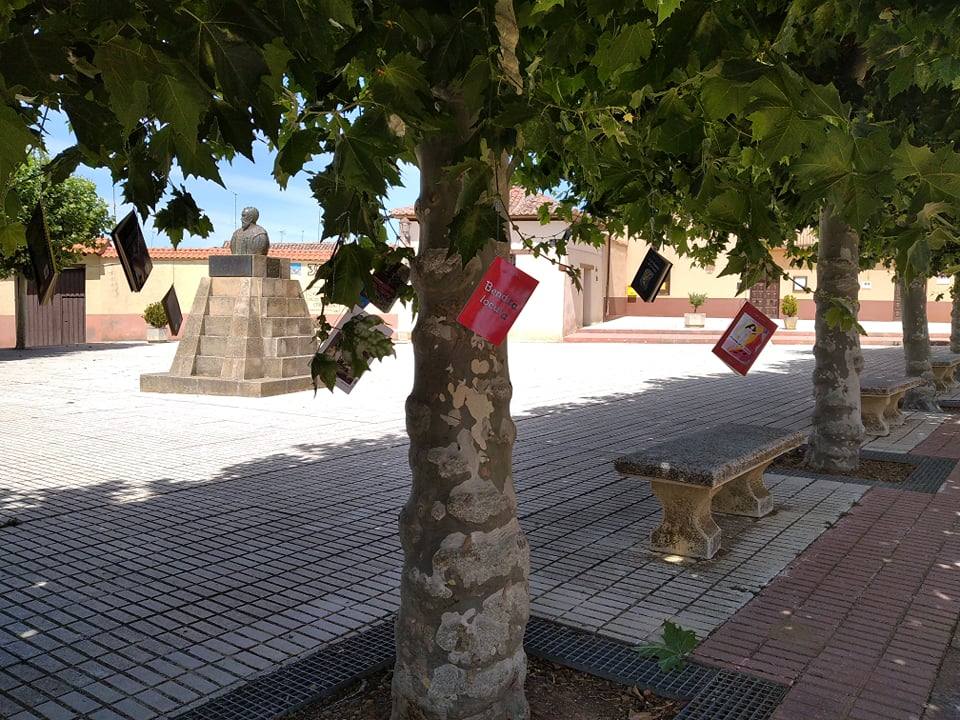 Los libros florecen en el MUSAC