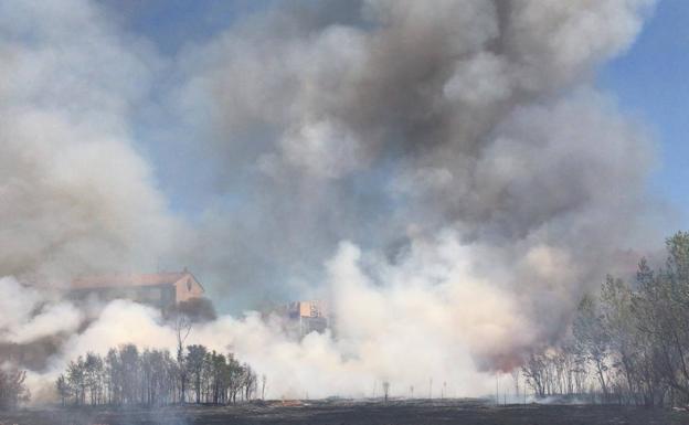 Un incendio en un solar de San Andrés del Rabanedo alerta a los vecinos de las viviendas cercanas