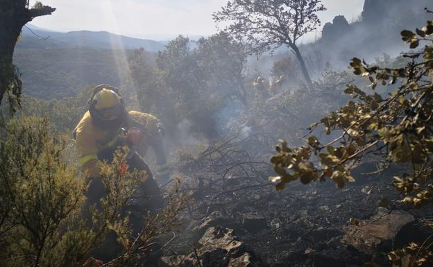 Permanece activo el incendio de Montealegre con un amplio operativo para su extinción