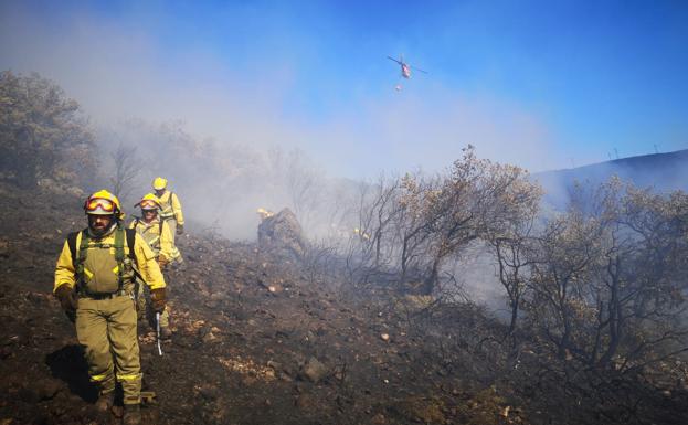 La Junta controla el incendio de Montealegre tras dos días activo