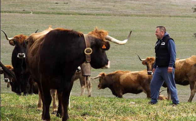 UPA exige el reconocimiento de la figura de agricultor y ganadero genuino y pide que se les priorice en el reparto de las ayudas
