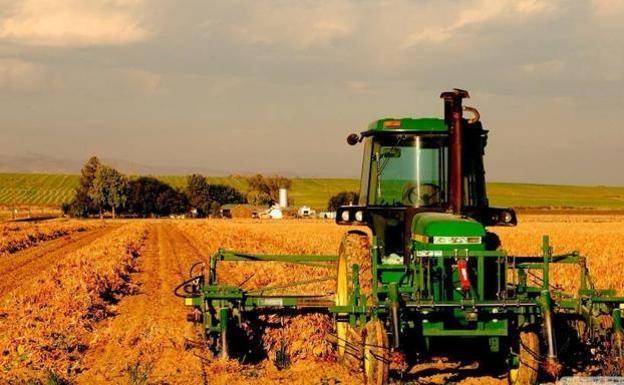 Cerca de 600 agricultores de Castilla y León reciben 3,5 millones de euros por el pago de la ayuda complementaria de la PAC