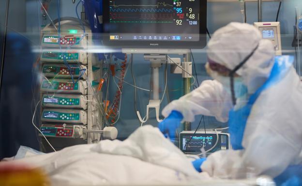 Doce nuevos casos de covid en León, ninguno en las últimas 24 horas, y un paciente recuperado