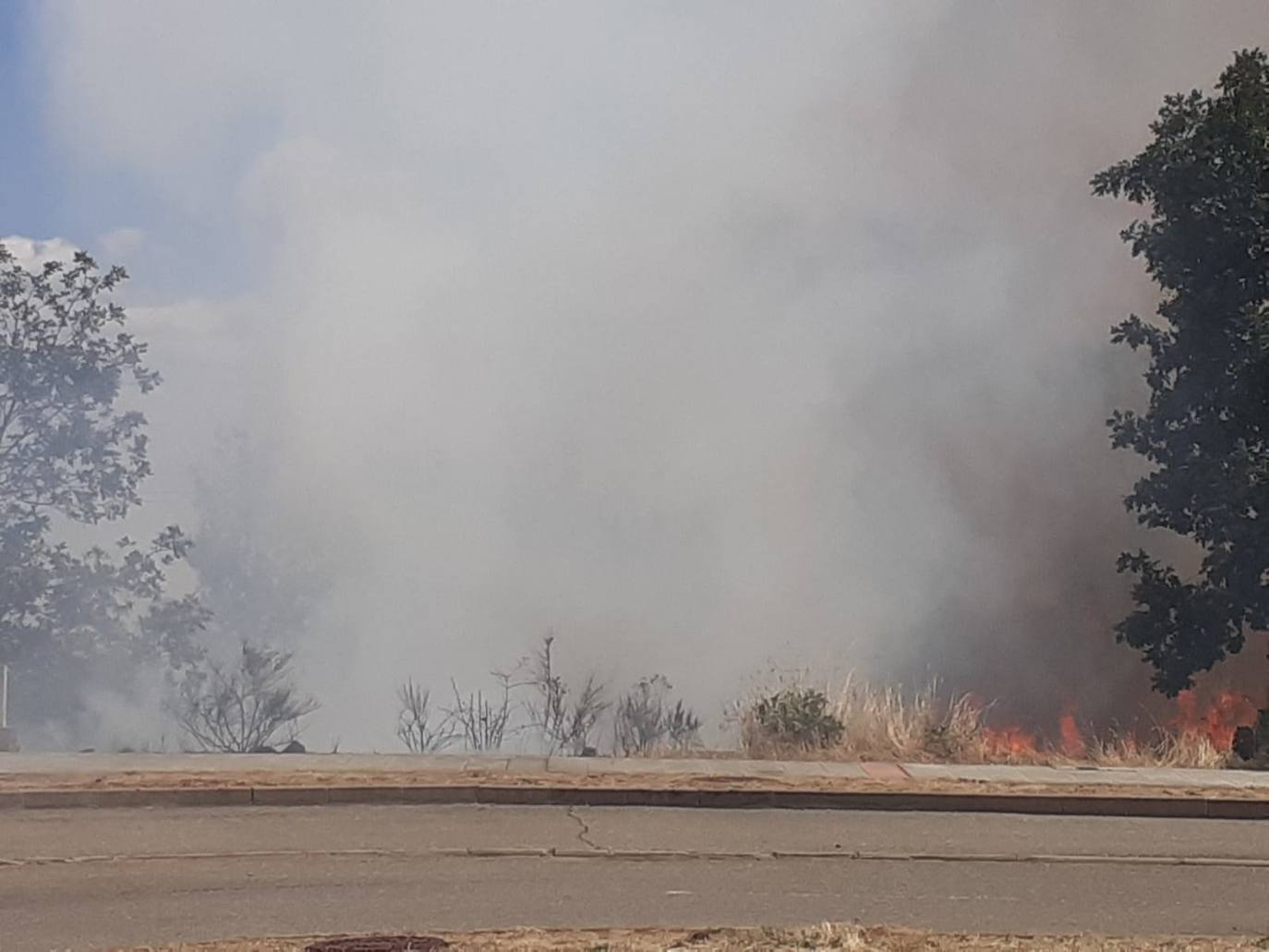 Un incendio quema una parcela de rastrojos en San Miguel del Camino