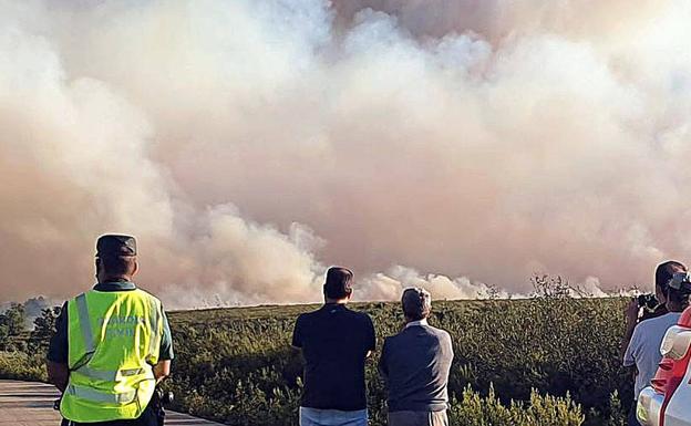 La Junta baja a nivel 0 el incendio forestal de Zamora ante su «evolución favorable»