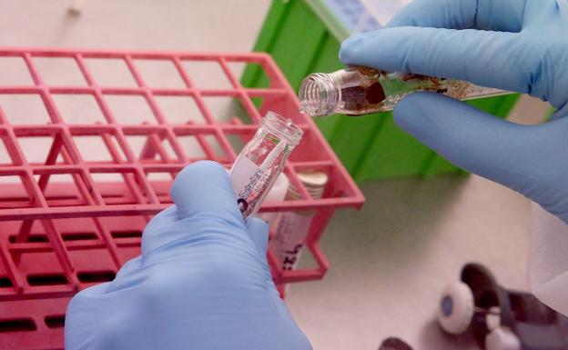 La provincia suma 16 positivos de asintomáticos y ningún caso diagnosticado con síntomas en las últimas 24 horas