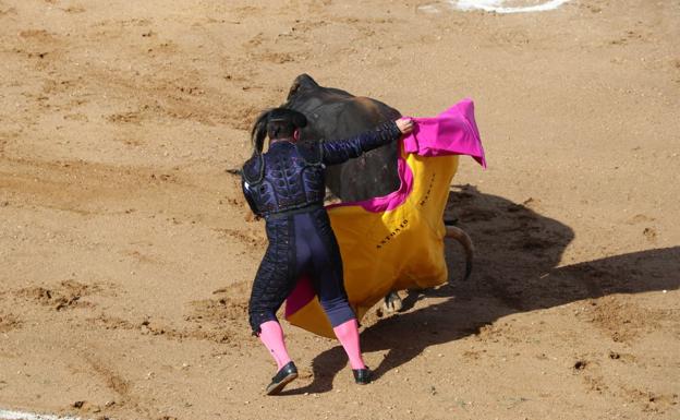 La Junta defiende que «se están haciendo inspecciones» en espectáculos taurinos