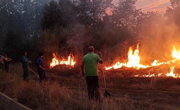 Un amplio despliegue de medios logra controlar el incendio forestal de Castrocontrigo