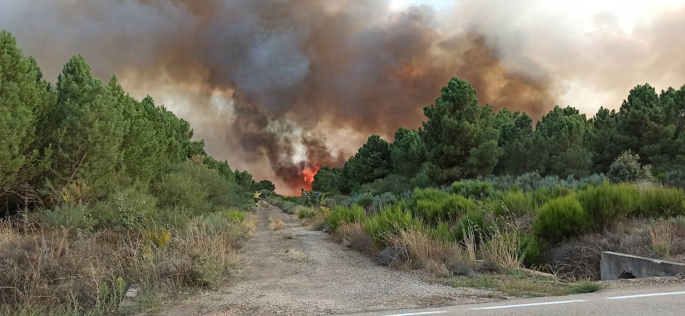 Incendio en Nogarejas