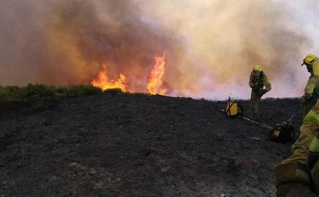 Las brigadas extinguen un incendio intencionado en Fresno de la Vega