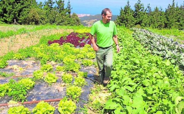 La Cámara de Comercio de Astorga organiza un Programa de Formación Agraria