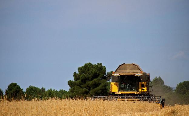 La cosecha de Castilla y León, las más afectada por las condiciones climatológicas adversas este año, con pérdidas de 15,4 millones