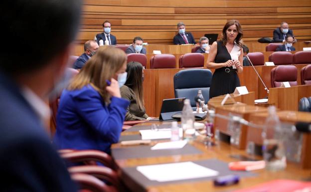 Ana Carlota Amigo llama al PSOE a dejar a un lado el «frentismo y la foto» y a colaborar con la Junta