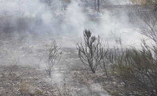 Extinguido un incendio en Laguna de Negrillos que devoró 20 hectáreas de rastrojos