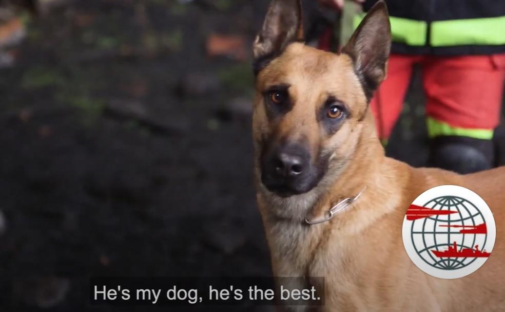 Mufly, el perro leonés que enamora a la OTAN