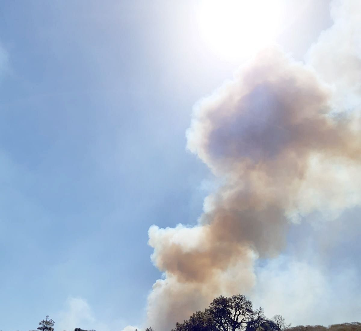 Extinguidos dos incendios en Villalobar y Sahagún tras calcinar algo más de cuatro hectáreas