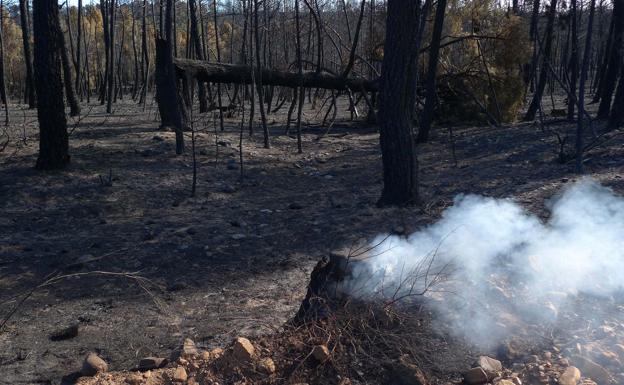 UPL exige a la Junta el pago de las ayudas prometidas hace 8 años por el incendio de Castrocontrigo